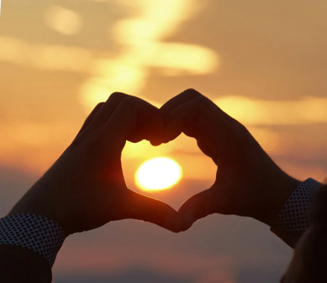 Einfach nicht genug…